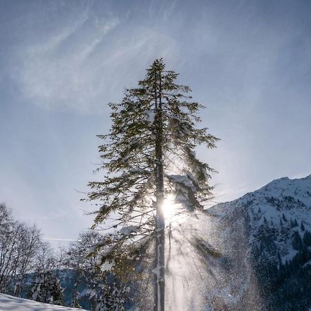 Silber Lodge Im Wiesenstein Auffach Zewnętrze zdjęcie