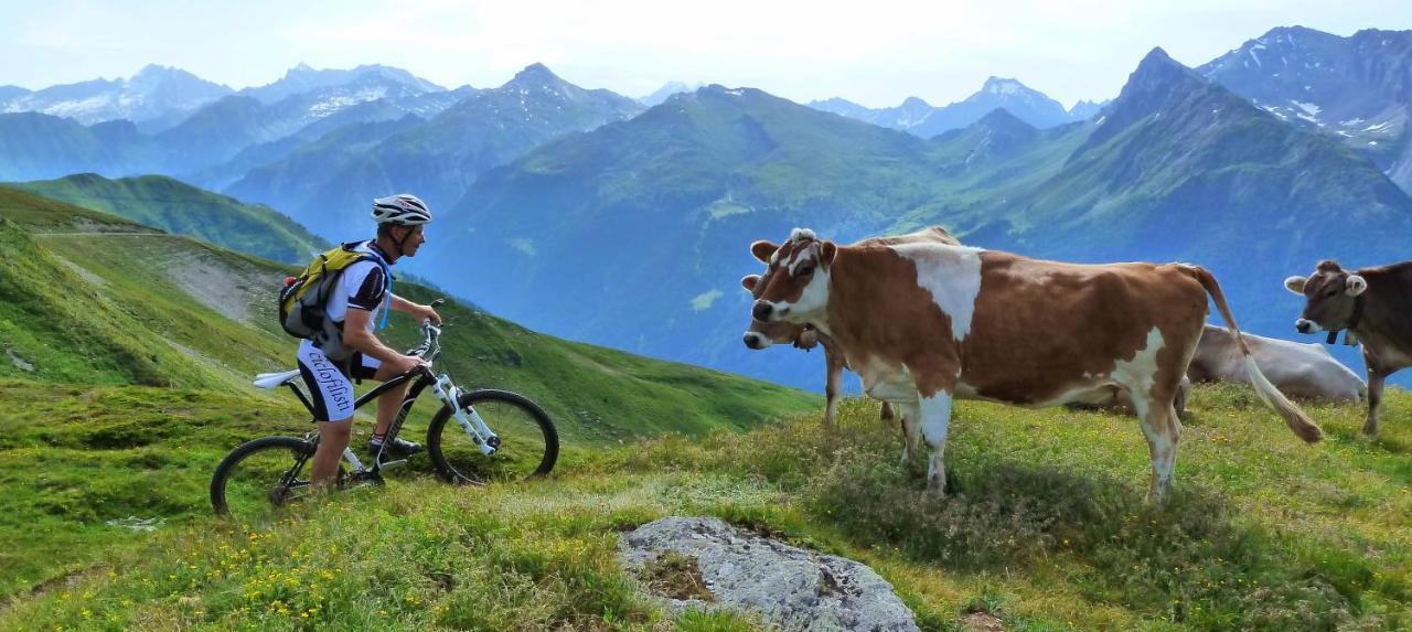 Silber Lodge Im Wiesenstein Auffach Zewnętrze zdjęcie