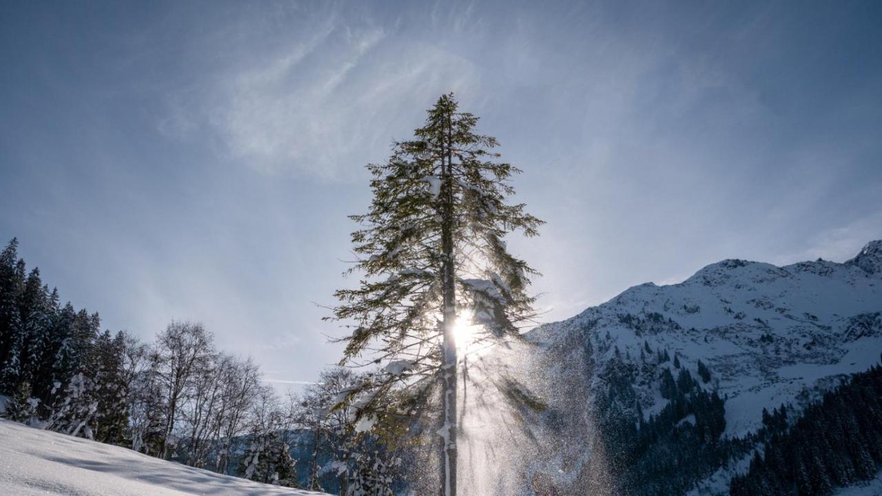Silber Lodge Im Wiesenstein Auffach Zewnętrze zdjęcie